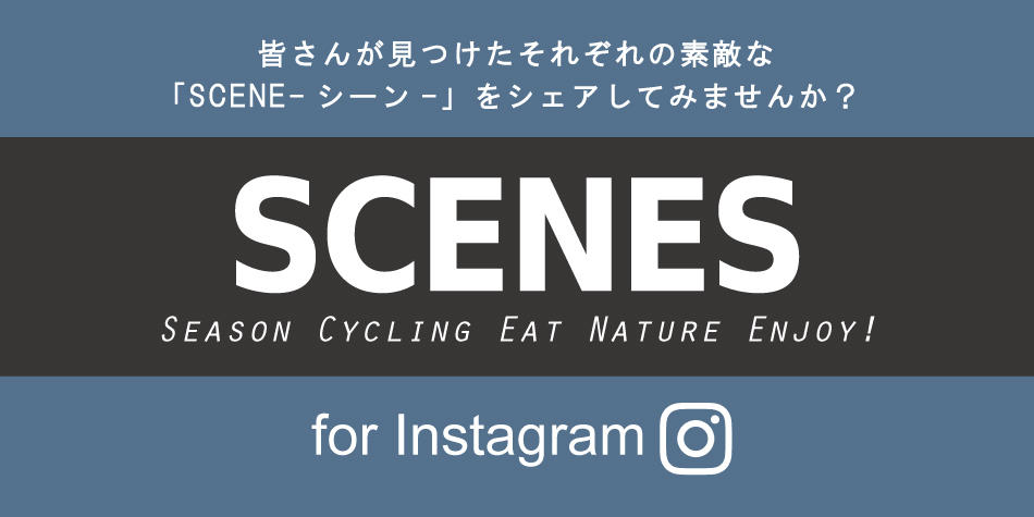 Instagram投稿シェアページ『SCENES』START！！