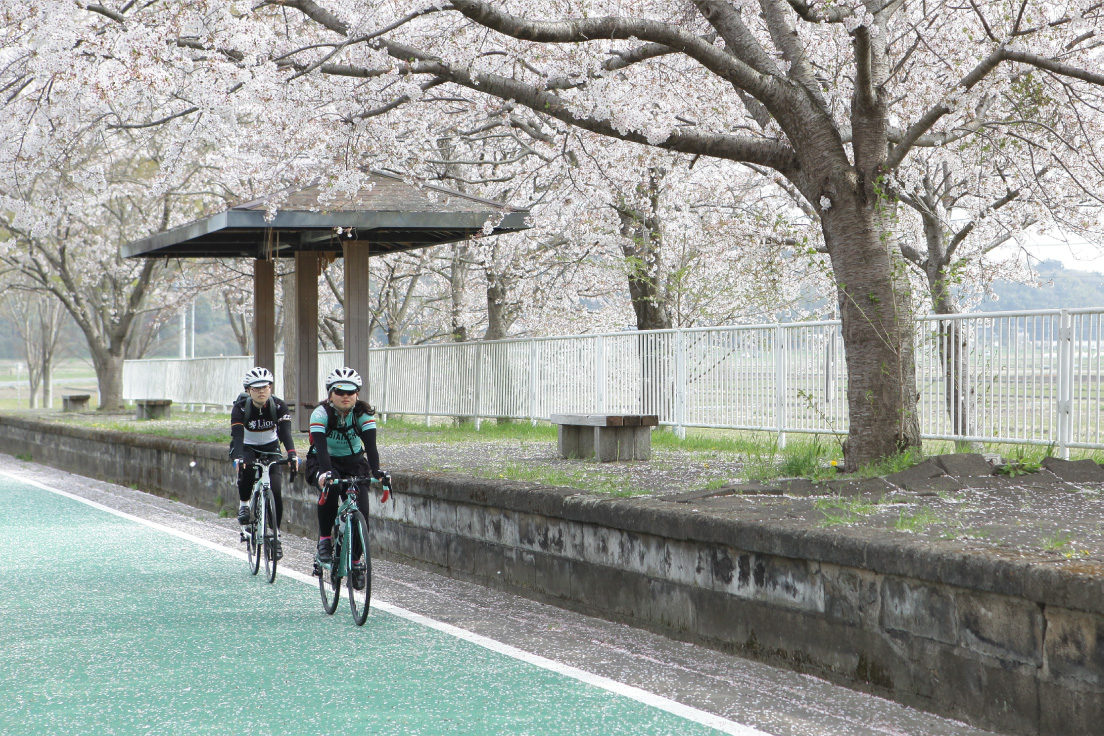 りんりんロードのサイクリングは春がおすすめ！